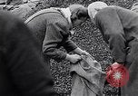 Image of German people gather fuel end World War 2 Munich Germany, 1945, second 40 stock footage video 65675040680