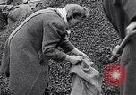 Image of German people gather fuel end World War 2 Munich Germany, 1945, second 41 stock footage video 65675040680