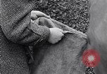 Image of German people gather fuel end World War 2 Munich Germany, 1945, second 42 stock footage video 65675040680