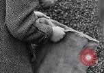 Image of German people gather fuel end World War 2 Munich Germany, 1945, second 43 stock footage video 65675040680