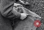 Image of German people gather fuel end World War 2 Munich Germany, 1945, second 47 stock footage video 65675040680
