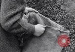 Image of German people gather fuel end World War 2 Munich Germany, 1945, second 48 stock footage video 65675040680