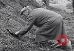 Image of German people gather fuel end World War 2 Munich Germany, 1945, second 49 stock footage video 65675040680