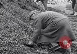 Image of German people gather fuel end World War 2 Munich Germany, 1945, second 51 stock footage video 65675040680