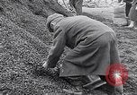 Image of German people gather fuel end World War 2 Munich Germany, 1945, second 52 stock footage video 65675040680