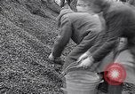 Image of German people gather fuel end World War 2 Munich Germany, 1945, second 53 stock footage video 65675040680