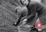 Image of German people gather fuel end World War 2 Munich Germany, 1945, second 54 stock footage video 65675040680