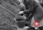 Image of German people gather fuel end World War 2 Munich Germany, 1945, second 55 stock footage video 65675040680