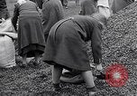 Image of German people gather fuel end World War 2 Munich Germany, 1945, second 56 stock footage video 65675040680