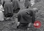 Image of German people gather fuel end World War 2 Munich Germany, 1945, second 57 stock footage video 65675040680