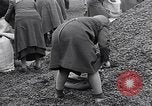 Image of German people gather fuel end World War 2 Munich Germany, 1945, second 58 stock footage video 65675040680