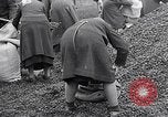 Image of German people gather fuel end World War 2 Munich Germany, 1945, second 59 stock footage video 65675040680