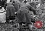Image of German people gather fuel end World War 2 Munich Germany, 1945, second 60 stock footage video 65675040680
