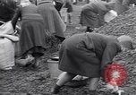 Image of German people gather fuel end World War 2 Munich Germany, 1945, second 61 stock footage video 65675040680