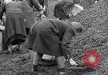 Image of German people gather fuel end World War 2 Munich Germany, 1945, second 62 stock footage video 65675040680