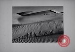 Standbild Edward Weston California United States USA, 1948, aus Sekunde 4 historischem Filmmaterial Videoclip 65675040684