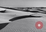 Standbild Edward Weston California United States USA, 1948, aus Sekunde 14 historischem Filmmaterial Videoclip 65675040684