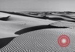 Standbild Edward Weston California United States USA, 1948, aus Sekunde 15 historischem Filmmaterial Videoclip 65675040684