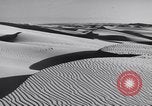 Standbild Edward Weston California United States USA, 1948, aus Sekunde 17 historischem Filmmaterial Videoclip 65675040684