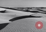 Standbild Edward Weston California United States USA, 1948, aus Sekunde 20 historischem Filmmaterial Videoclip 65675040684