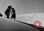 Standbild Edward Weston California United States USA, 1948, aus Sekunde 30 historischem Filmmaterial Videoclip 65675040684