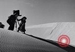 Standbild Edward Weston California United States USA, 1948, aus Sekunde 31 historischem Filmmaterial Videoclip 65675040684
