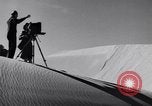 Standbild Edward Weston California United States USA, 1948, aus Sekunde 40 historischem Filmmaterial Videoclip 65675040684