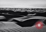 Image of Edward Weston California United States USA, 1948, second 1 stock footage video 65675040685