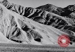 Image of Edward Weston California United States USA, 1948, second 14 stock footage video 65675040685