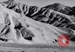 Image of Edward Weston California United States USA, 1948, second 17 stock footage video 65675040685