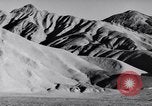 Image of Edward Weston California United States USA, 1948, second 23 stock footage video 65675040685