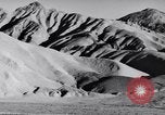 Image of Edward Weston California United States USA, 1948, second 25 stock footage video 65675040685