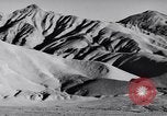 Image of Edward Weston California United States USA, 1948, second 26 stock footage video 65675040685