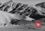 Image of Edward Weston California United States USA, 1948, second 28 stock footage video 65675040685