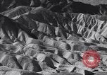 Image of Edward Weston California United States USA, 1948, second 48 stock footage video 65675040685