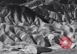 Image of Edward Weston California United States USA, 1948, second 50 stock footage video 65675040685