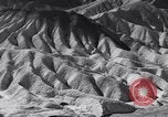 Image of Edward Weston California United States USA, 1948, second 51 stock footage video 65675040685