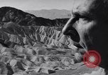 Image of Edward Weston California United States USA, 1948, second 55 stock footage video 65675040685