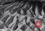 Image of Edward Weston California United States USA, 1948, second 57 stock footage video 65675040685