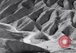 Image of Edward Weston California United States USA, 1948, second 60 stock footage video 65675040685