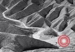 Image of Edward Weston California United States USA, 1948, second 61 stock footage video 65675040685