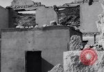 Image of Edward Weston California United States USA, 1948, second 39 stock footage video 65675040686