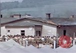 Immagine di Liberati i prigionieri da Moosburg Moosburg Germania, 1945, secondo 24 filmato di repertorio 65675040695