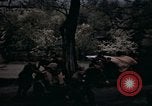 Immagine di Militare europea prigionieri liberati in Germania Germania, 1945, secondo 40 filmato di repertorio 65675040697