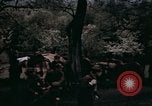 Immagine di Militare europea prigionieri liberati in Germania Germania, 1945, secondo 44 filmato di repertorio 65675040697