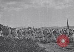 Image of US Navy fleet readiness exercises in the Pacific theater Pacific Ocean, 1925, second 24 stock footage video 65675040706