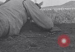 Image of US Navy fleet readiness exercises in the Pacific theater Pacific Ocean, 1925, second 45 stock footage video 65675040706