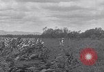 Image of US Navy fleet readiness exercises in the Pacific theater Pacific Ocean, 1925, second 47 stock footage video 65675040706