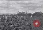 Image of US Navy fleet readiness exercises in the Pacific theater Pacific Ocean, 1925, second 48 stock footage video 65675040706