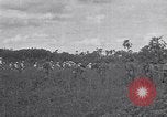 Image of US Navy fleet readiness exercises in the Pacific theater Pacific Ocean, 1925, second 55 stock footage video 65675040706